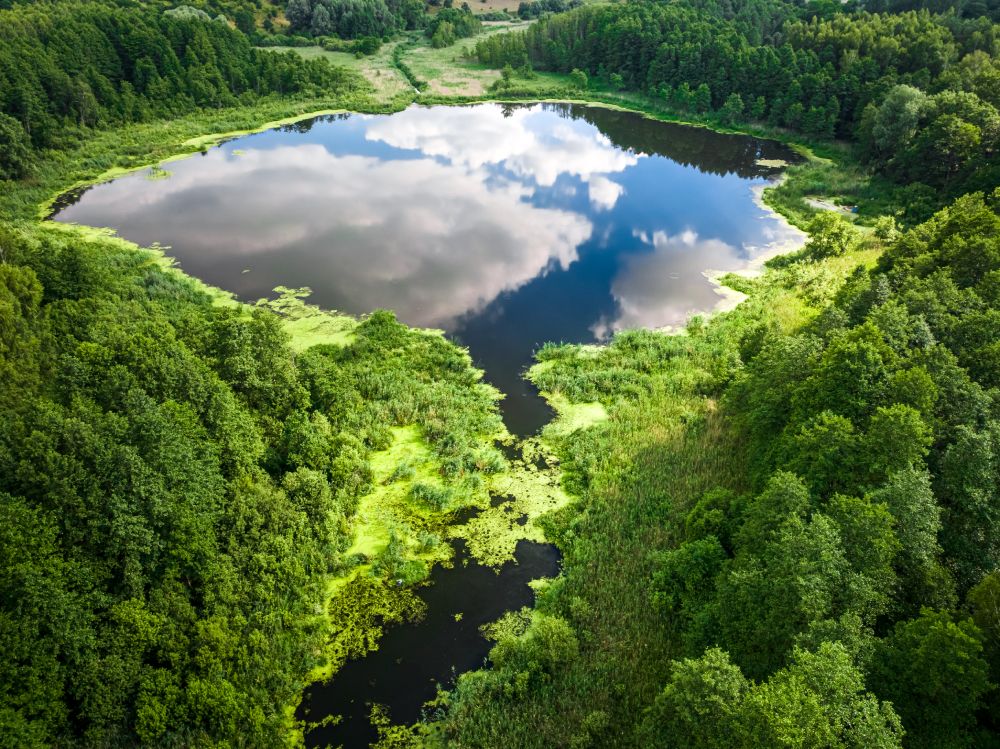 Démarche écologique et développement durable